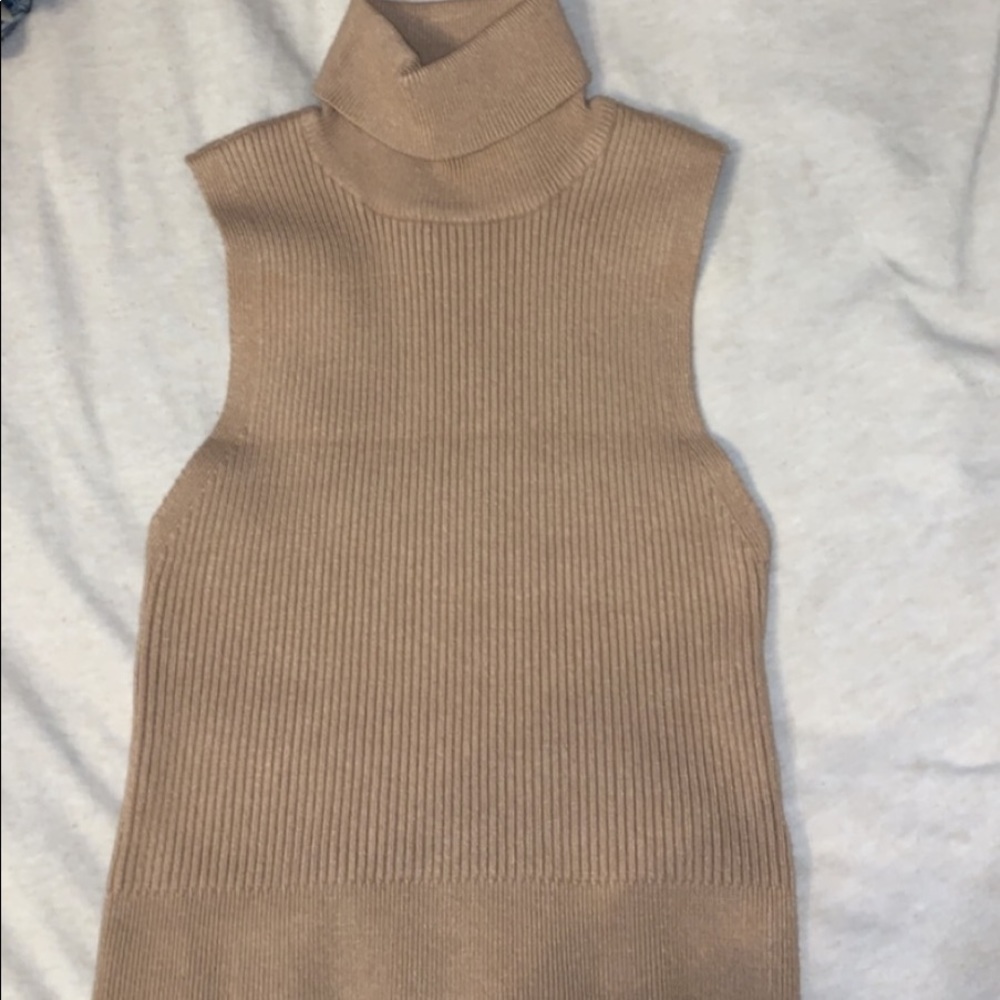 Forever 21 knit croptop turtleneck